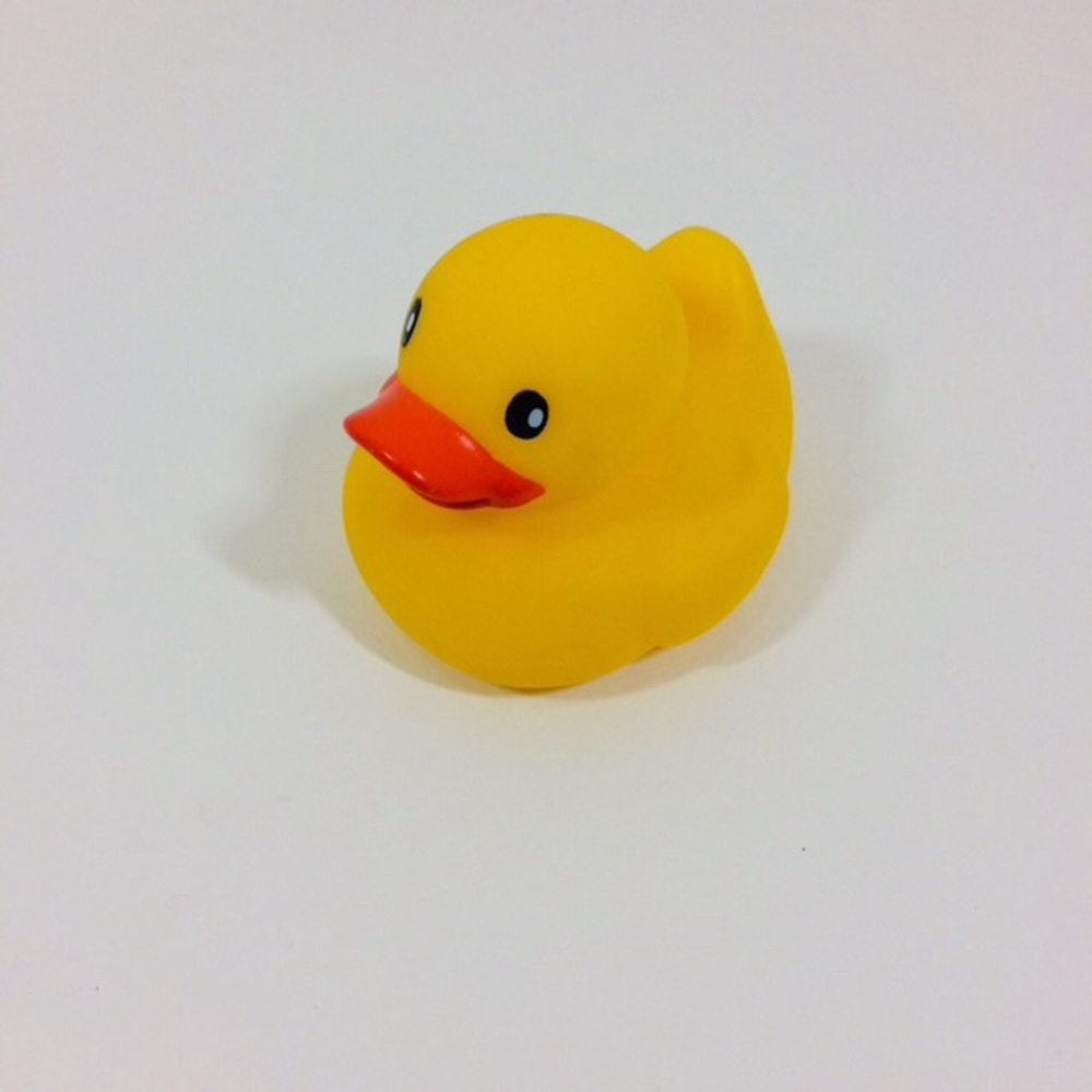 Bath duck